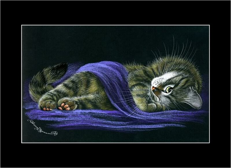Tabby Kitten on Purple Cloth