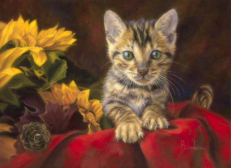 Tabby Kitten on Red Cloth — Calm