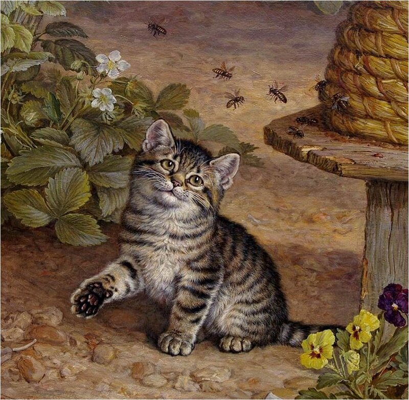 Tabby Kitten Playing — Brown, Curious