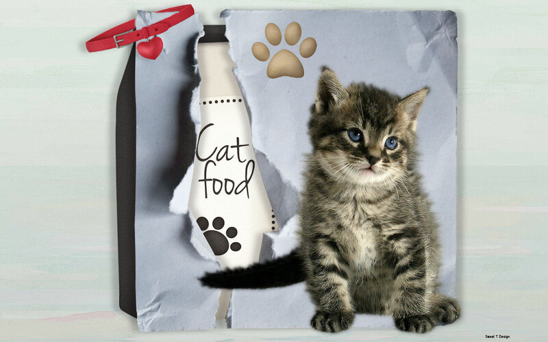 Tabby Kitten with Cat Food