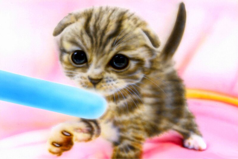 Tabby Kitten with Toy