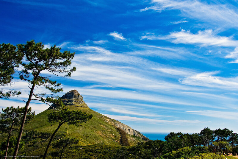 Table Mountain from Lion's Head