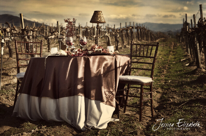 Table Set in Vineyard