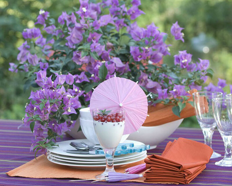 Table Setting with Flowers — Purple, Serene, Afternoon