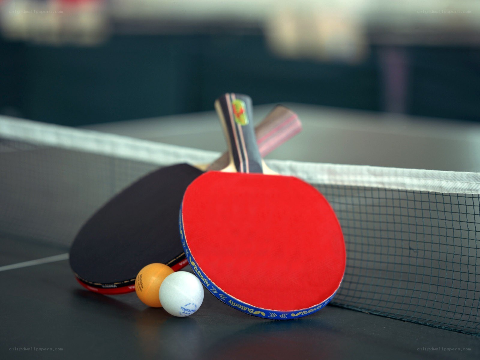 Table tennis equipment on a table