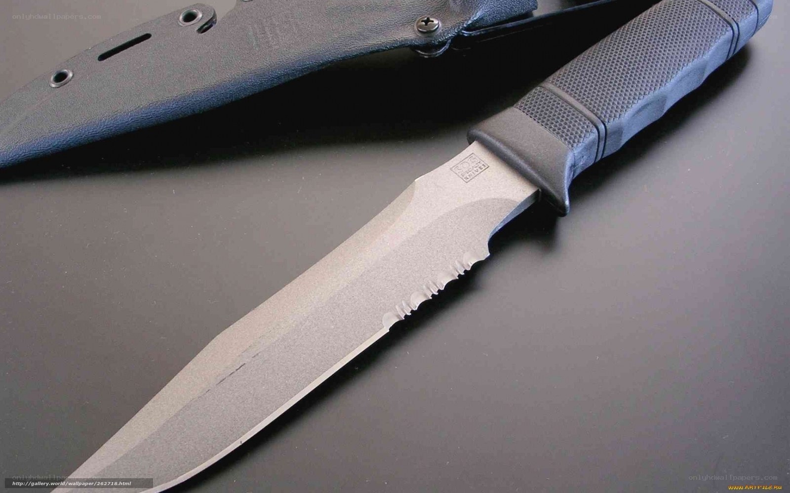 tactical knife with sheath