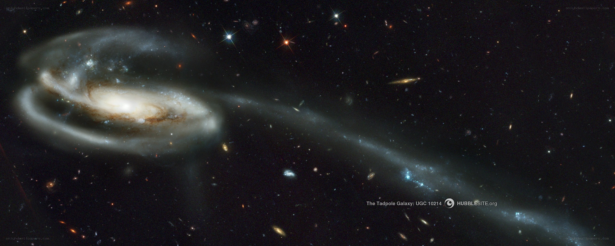 Tadpole Galaxy UGC 10214