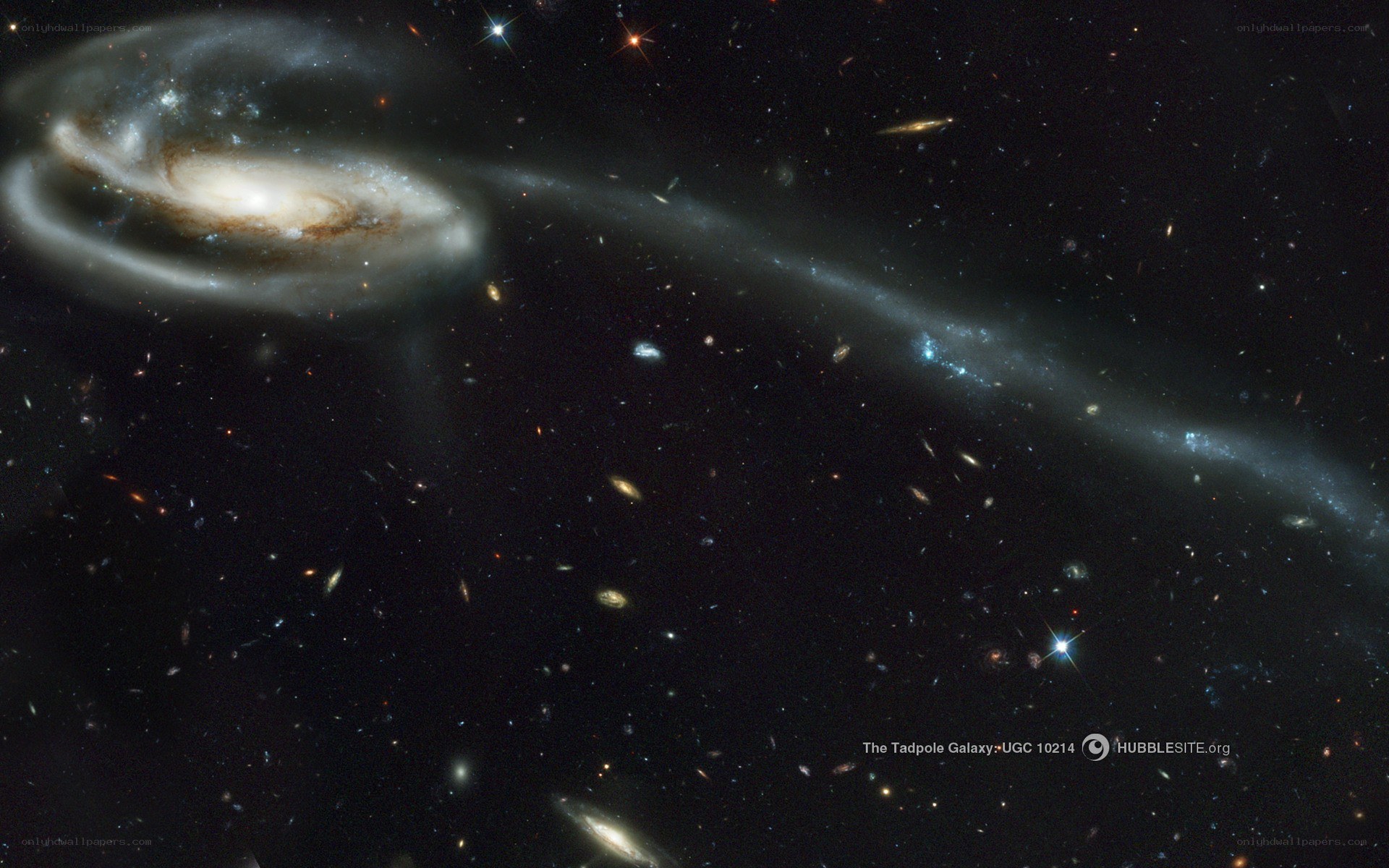 Tadpole Galaxy UGC 10214