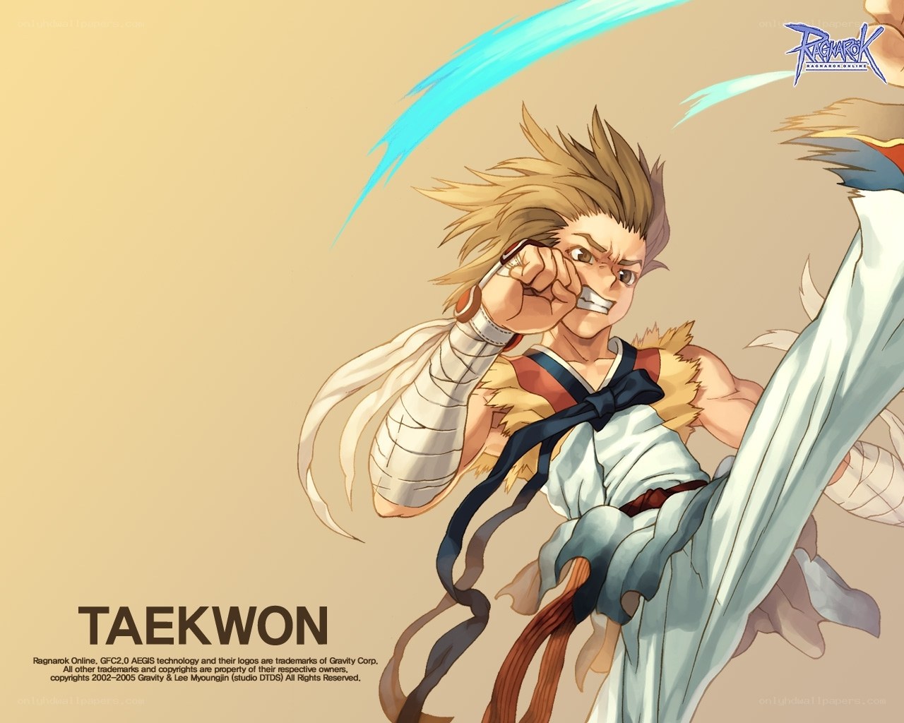 Taekwon character art