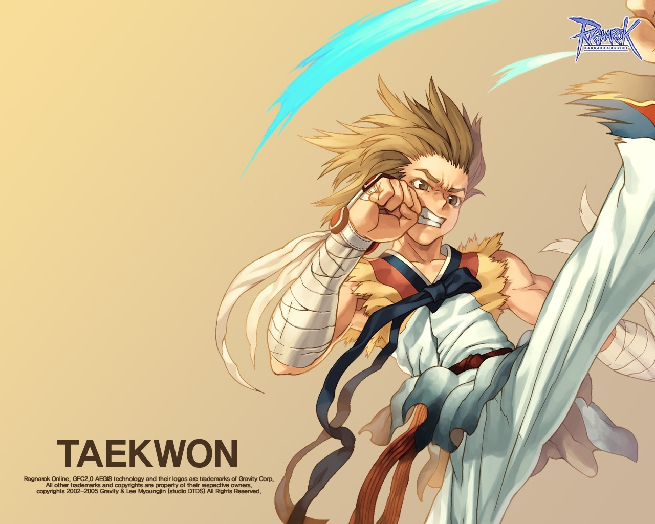 Taekwon character art