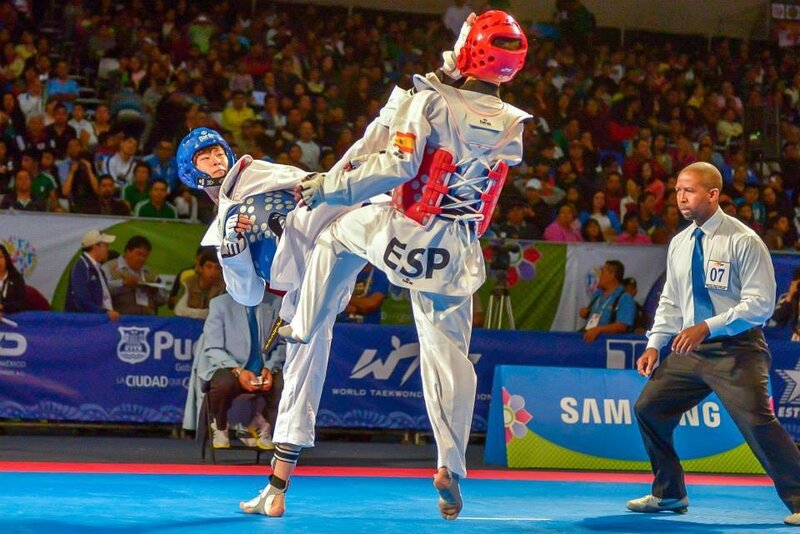 Taekwondo Competitors in Action