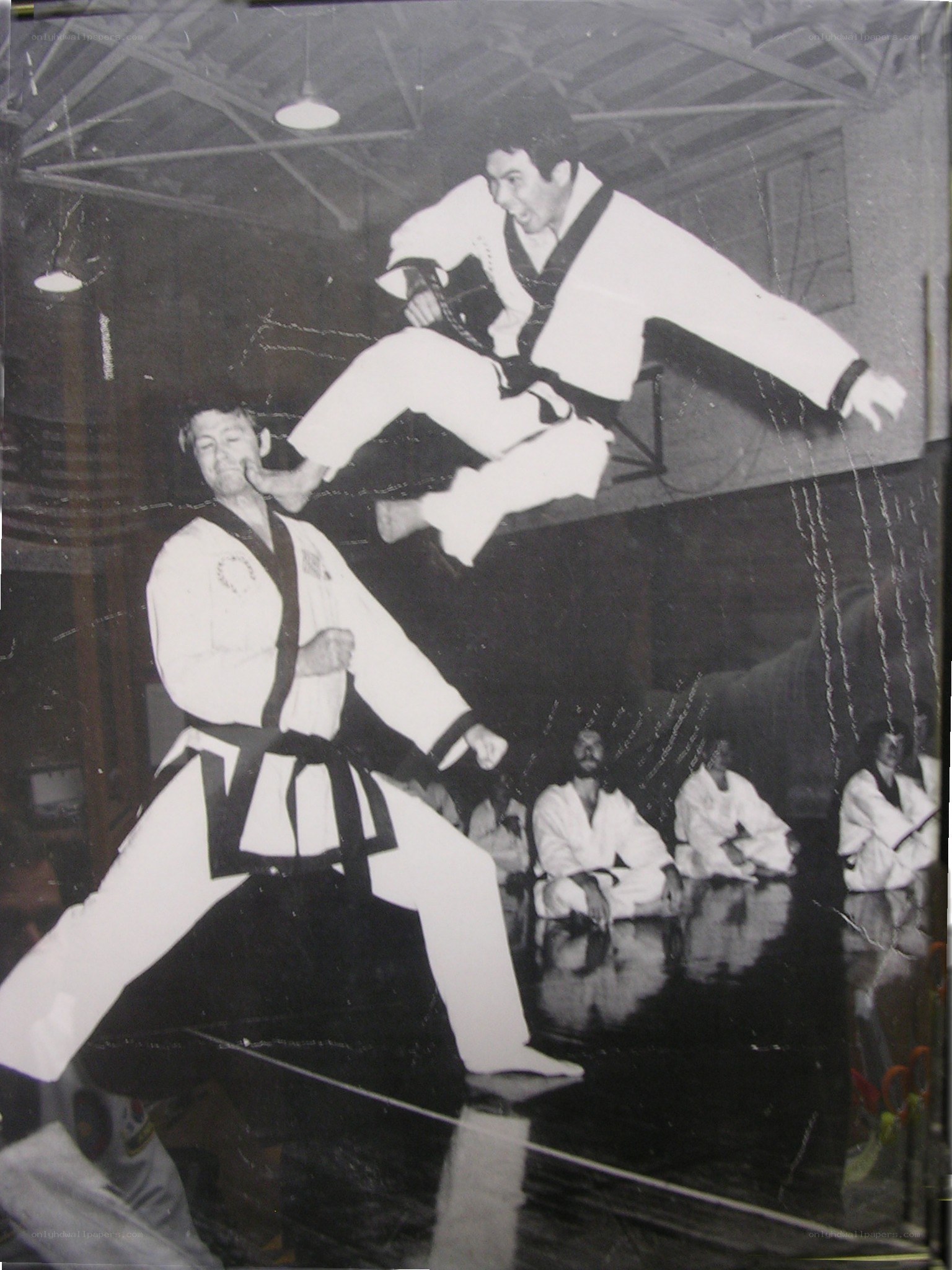 Taekwondo demonstration in action