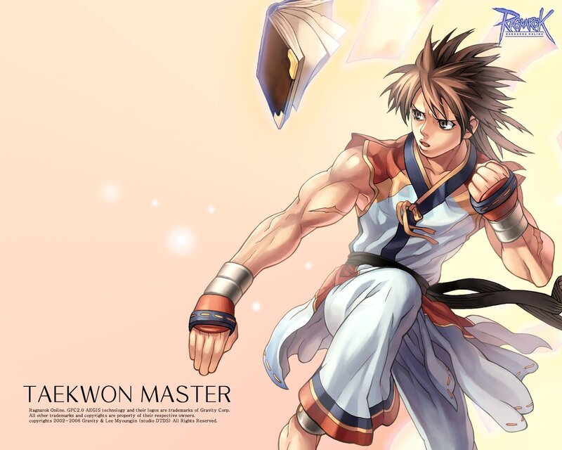 Taekwondo Fighter