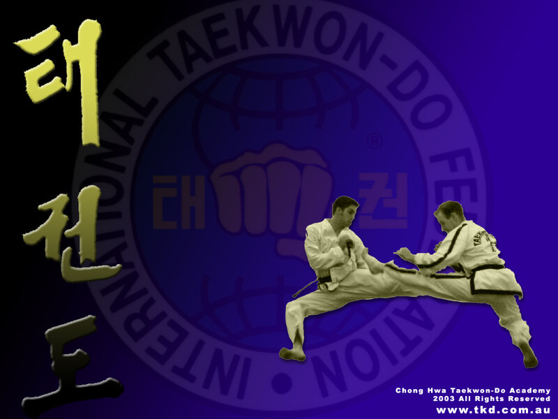 Taekwondo martial arts action