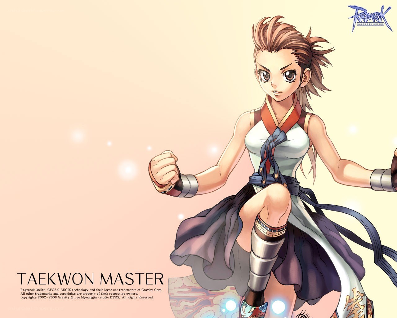 Taekwondo Master character