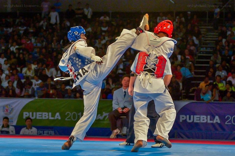 Taekwondo match in action