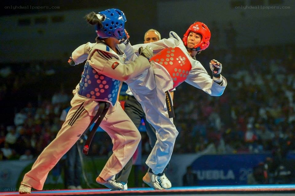 Taekwondo match in progress