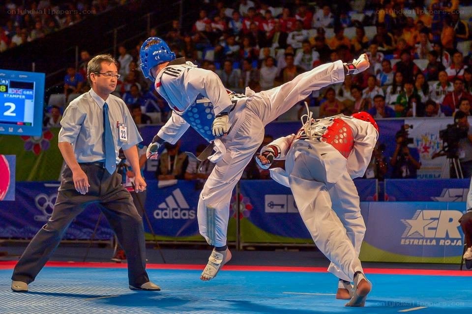 Taekwondo match in progress