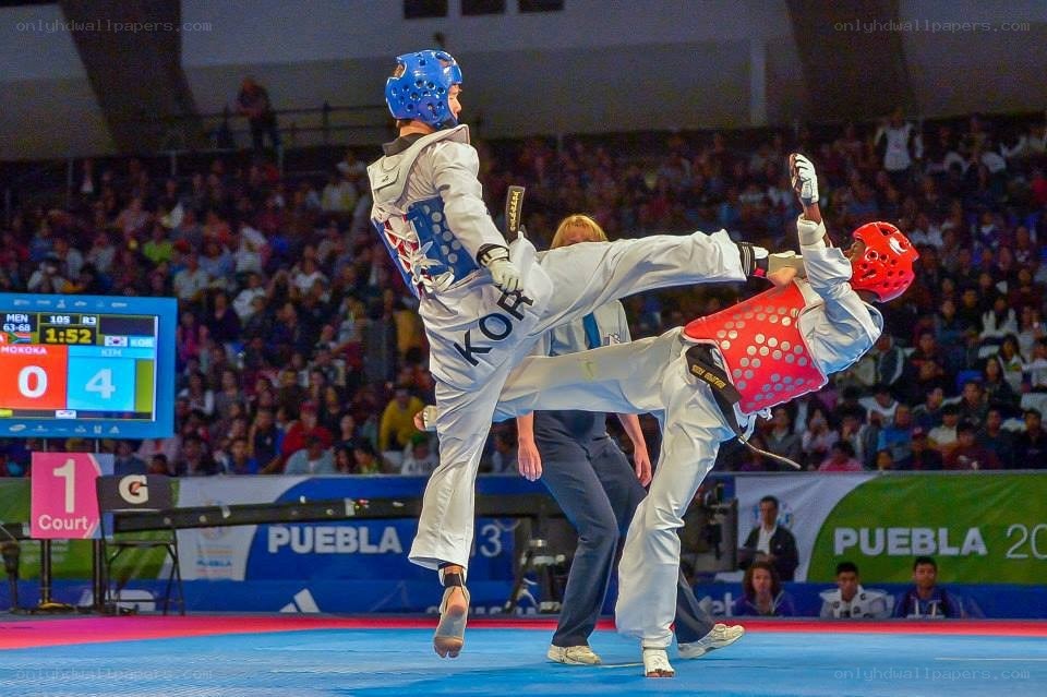 Taekwondo match in progress