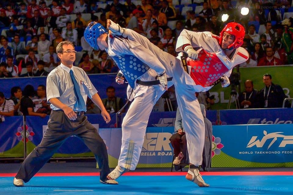 Taekwondo match in progress