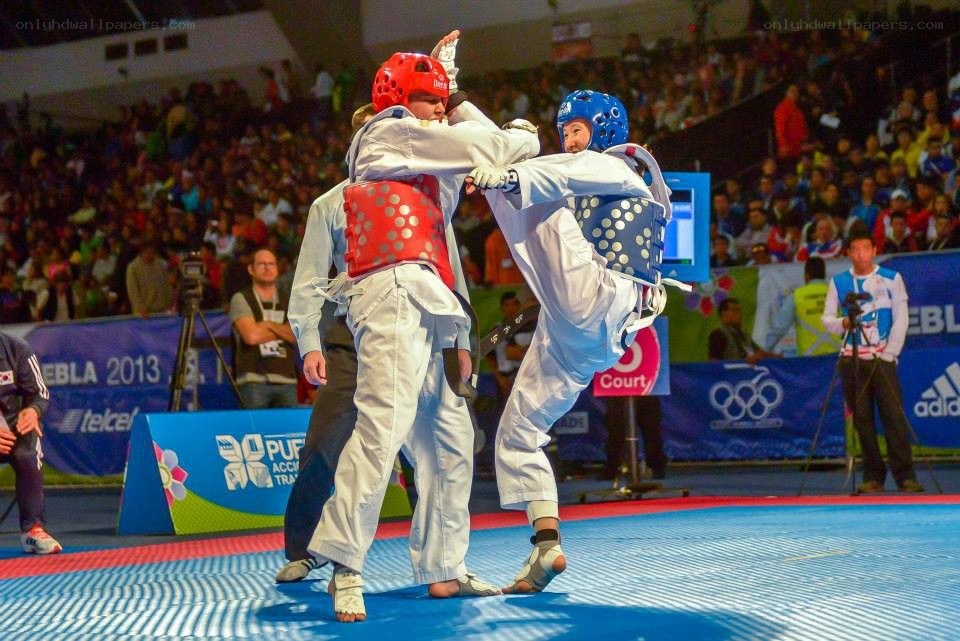 Taekwondo match in progress