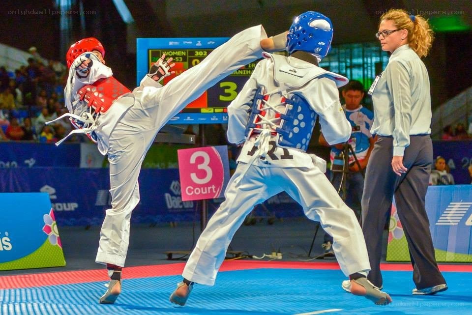 Taekwondo match in progress