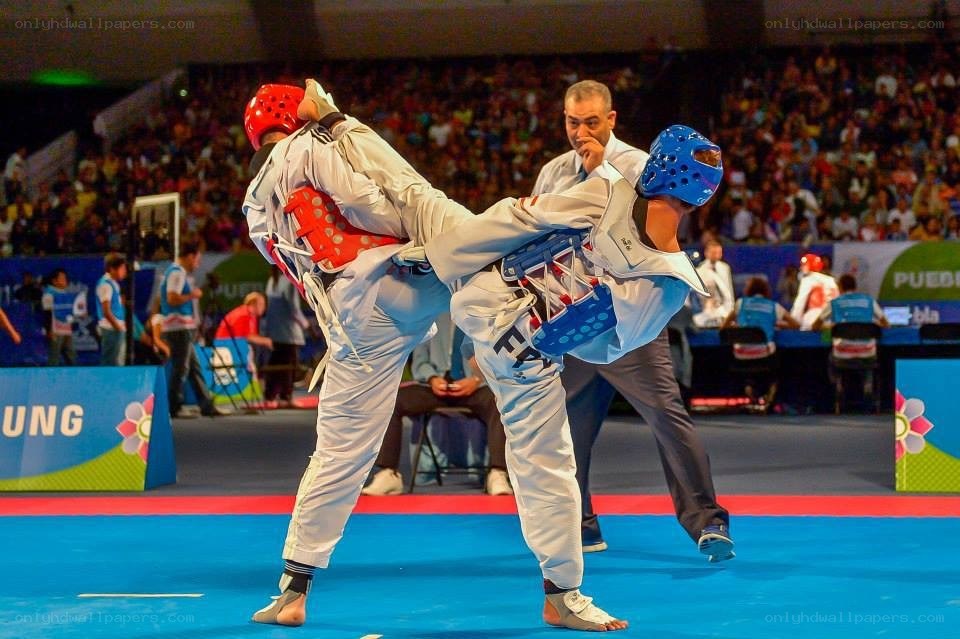 Taekwondo match in progress