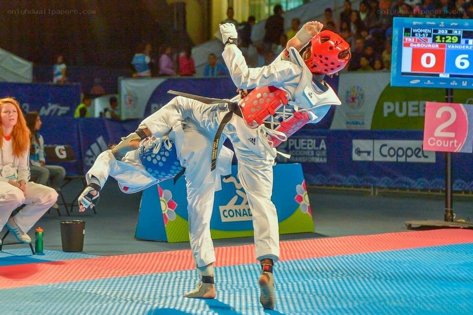 Taekwondo match in progress