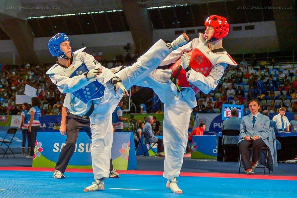 Taekwondo match in progress