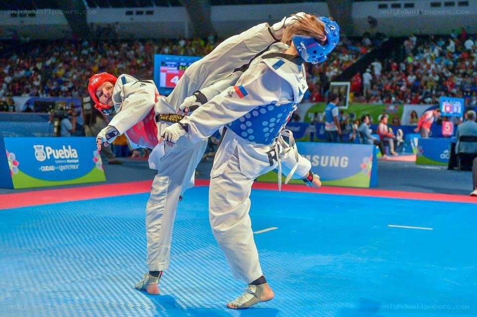 Taekwondo match in progress