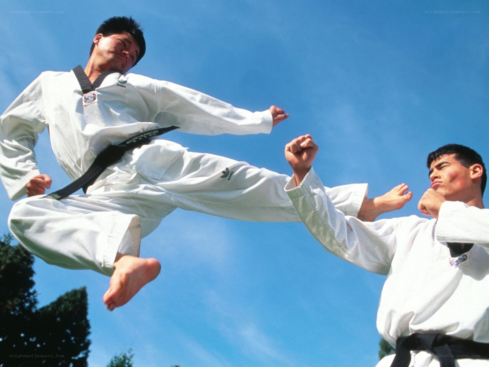 Taekwondo practitioners in action