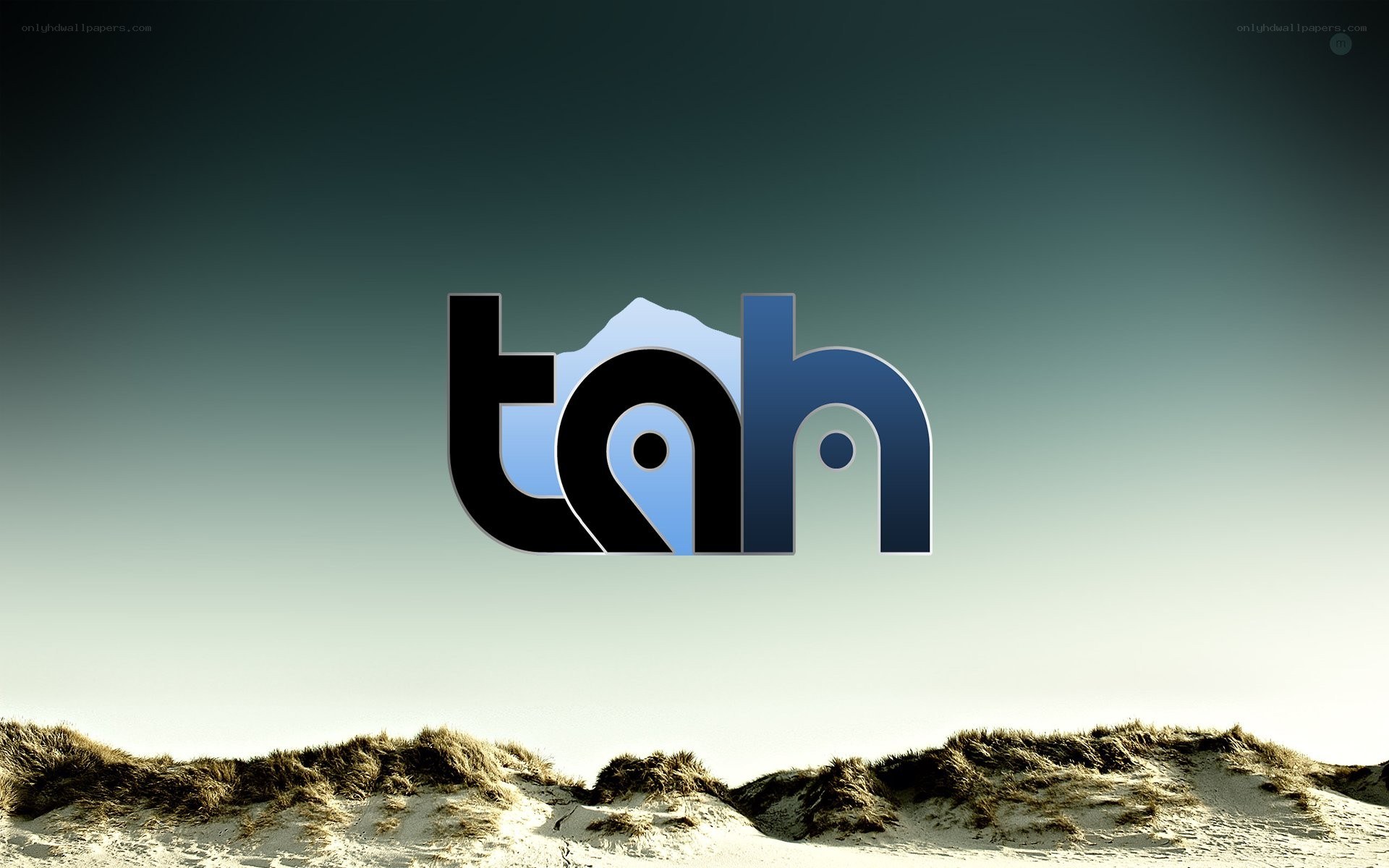 tah logo on beach background