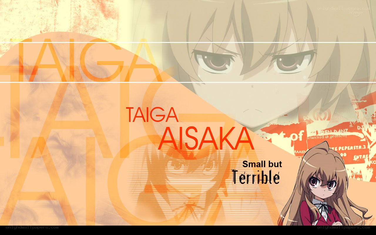 Taiga Aisaka character art