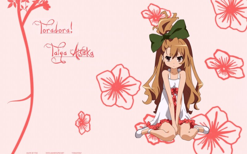 Taiga Aisaka from Toradora!