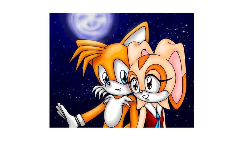 Tails and Cream under the moon