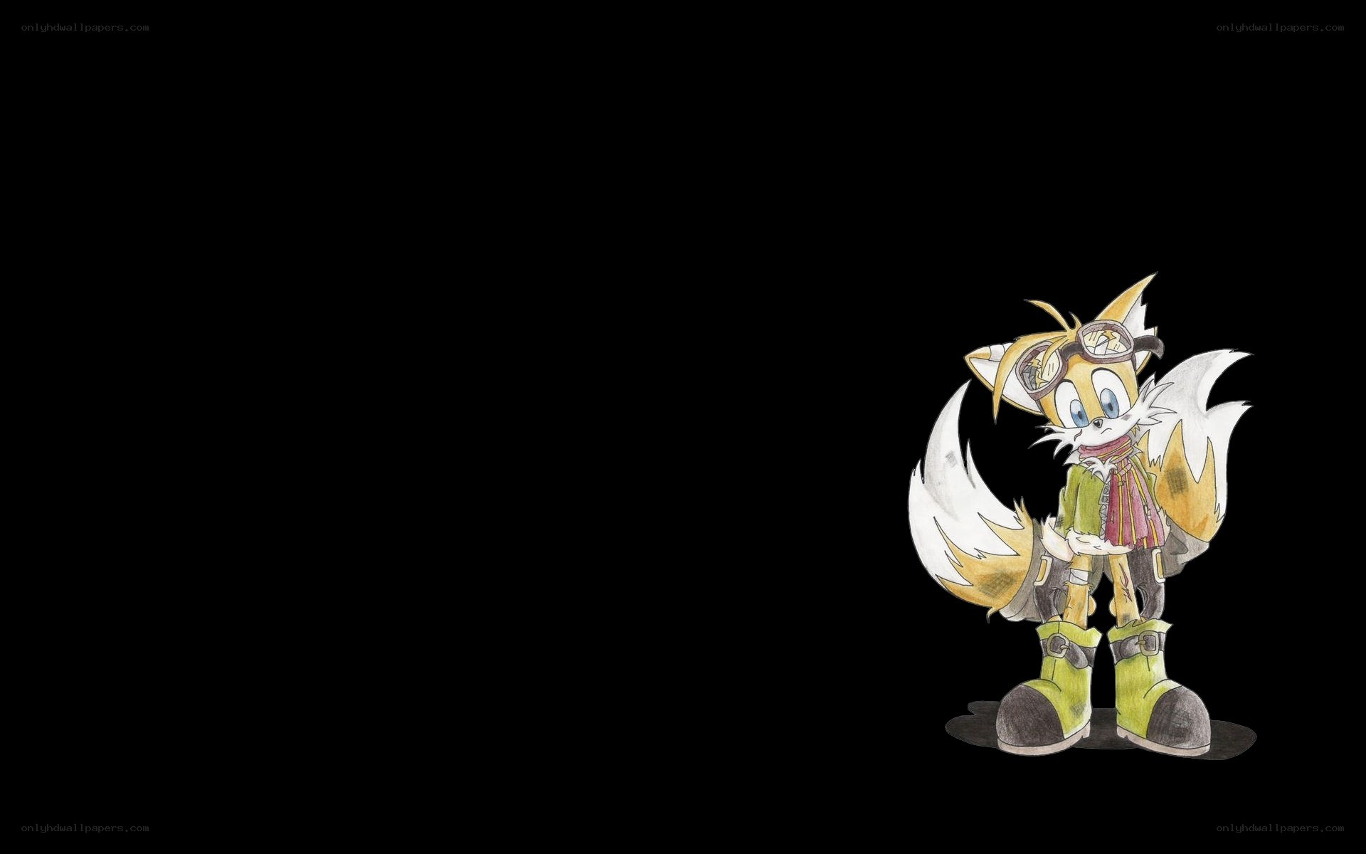 Tails character illustration