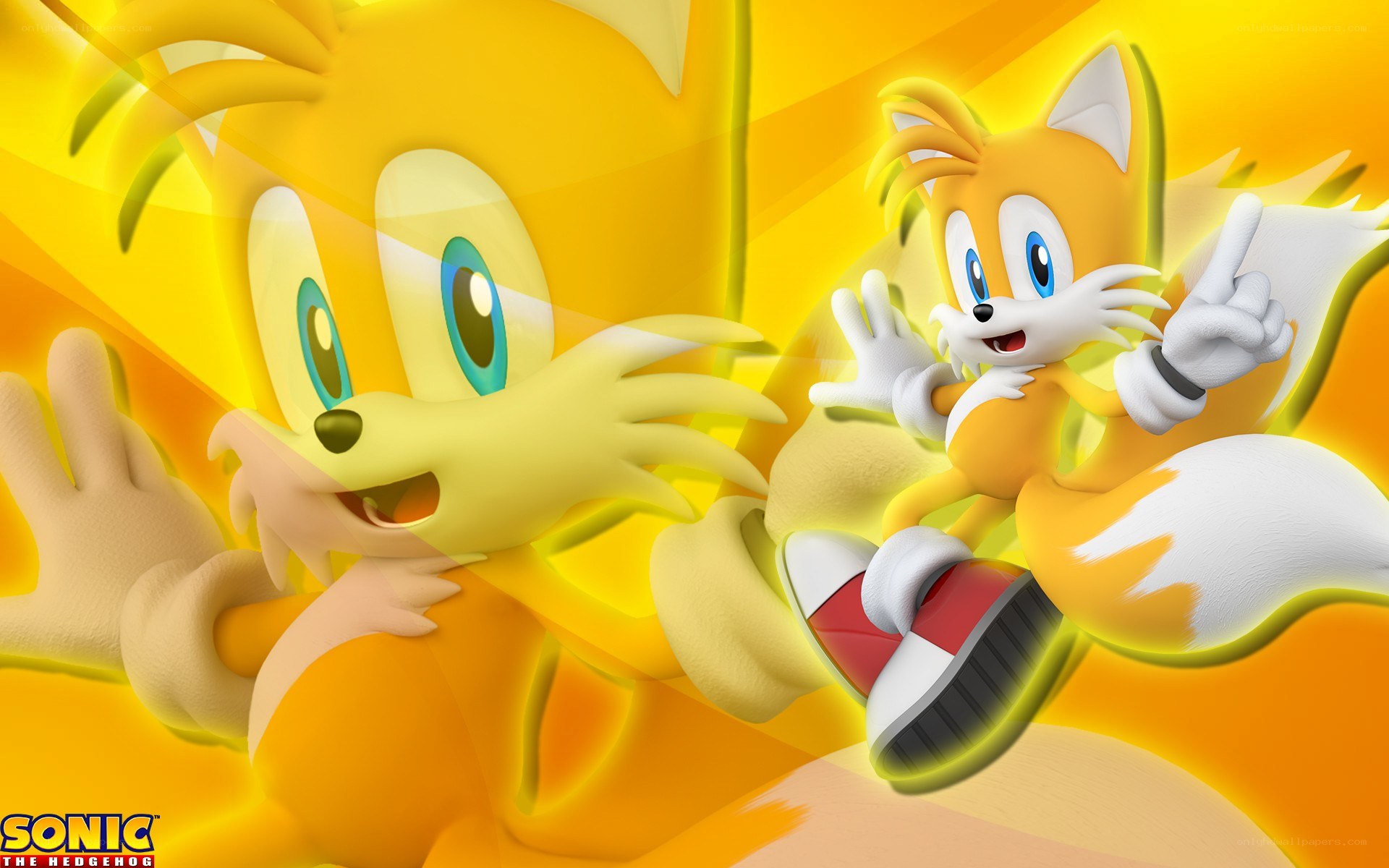 Tails in a golden glow