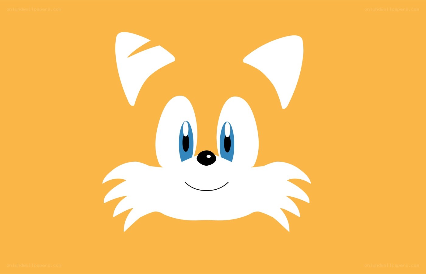 Tails the fox face