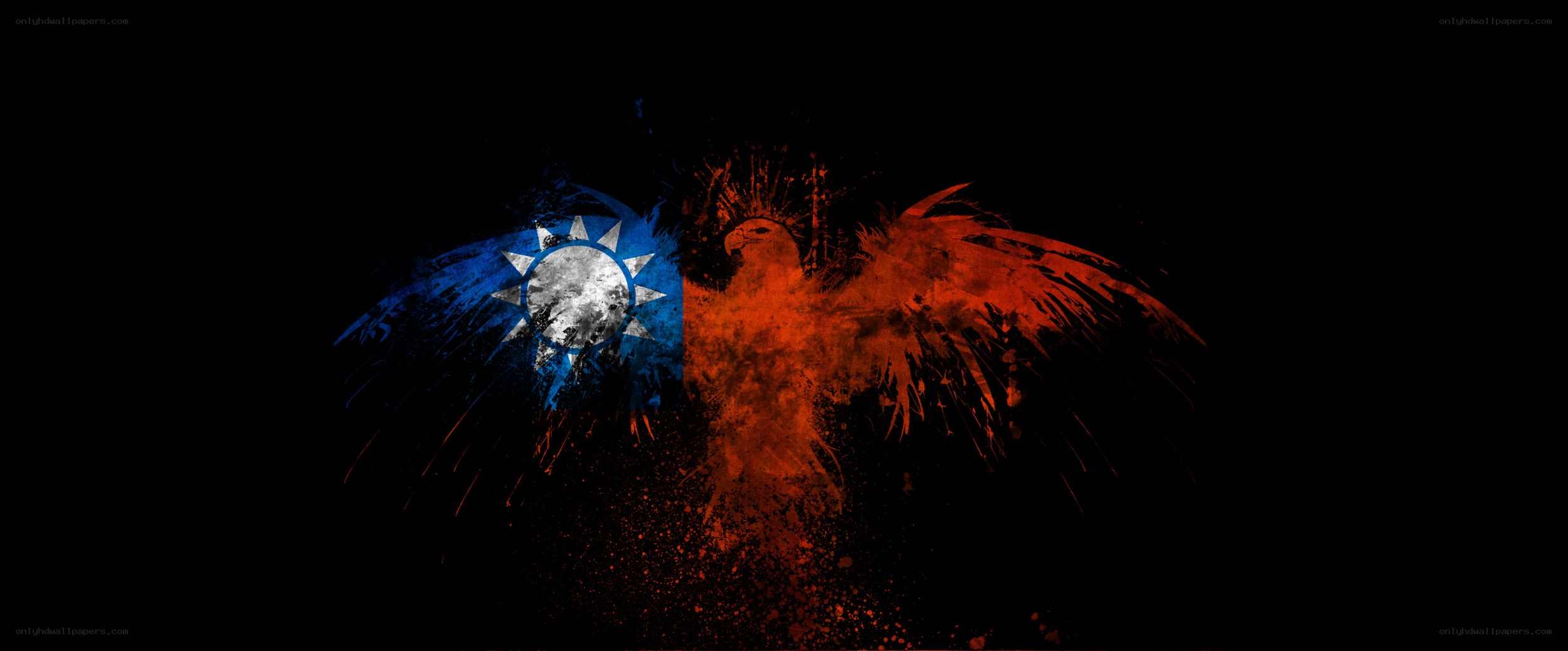 Taiwanese flag with eagle