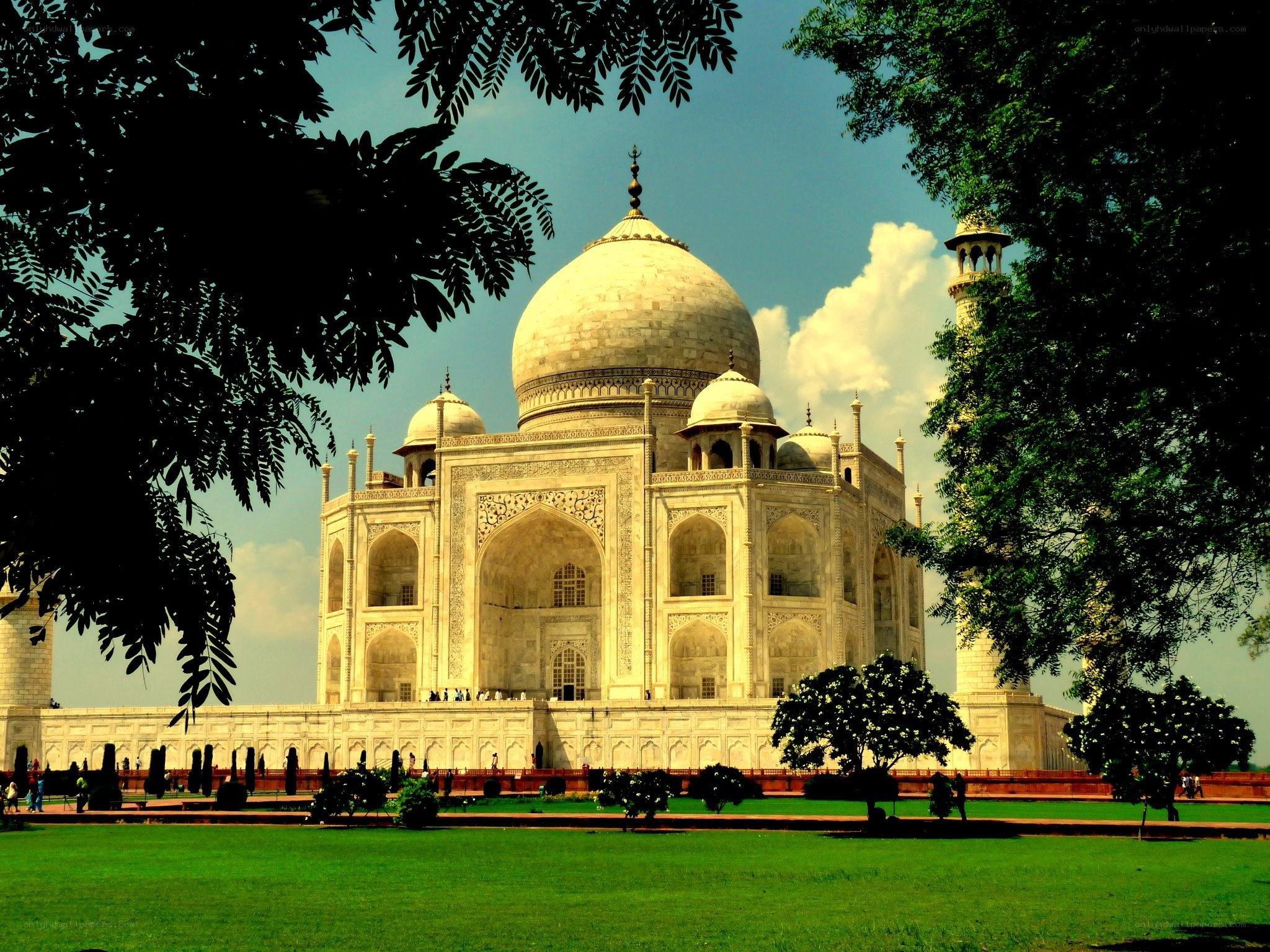 Taj Mahal framed by trees