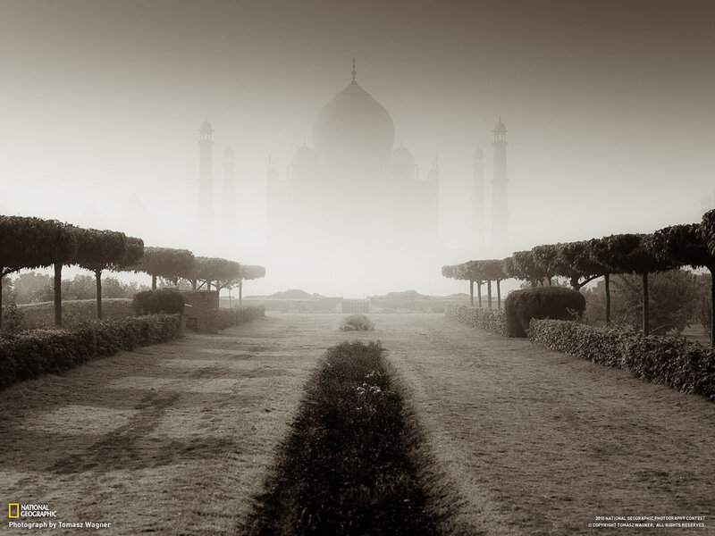 Taj Mahal in Fog — Brown