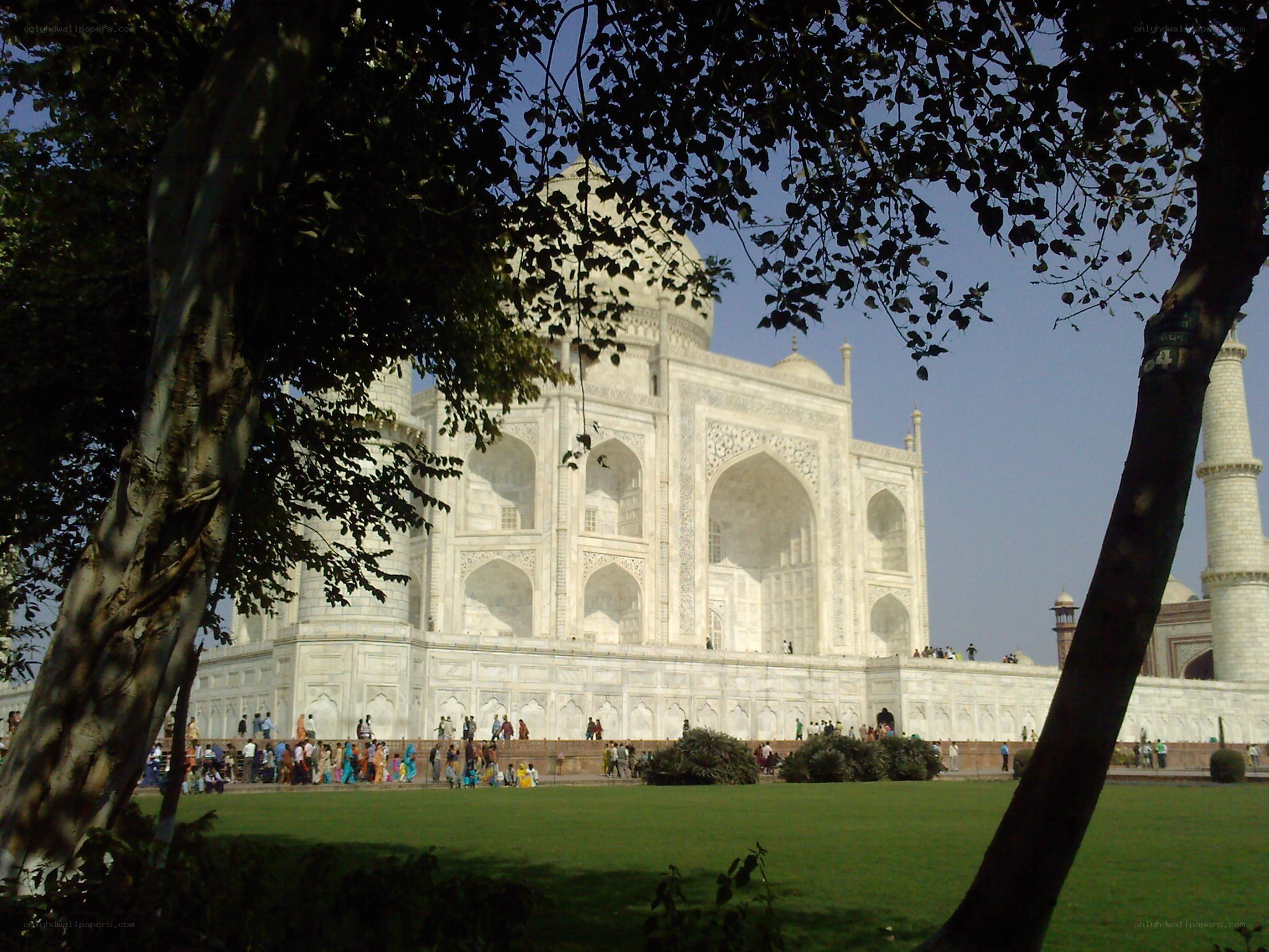 Taj Mahal viewed through trees