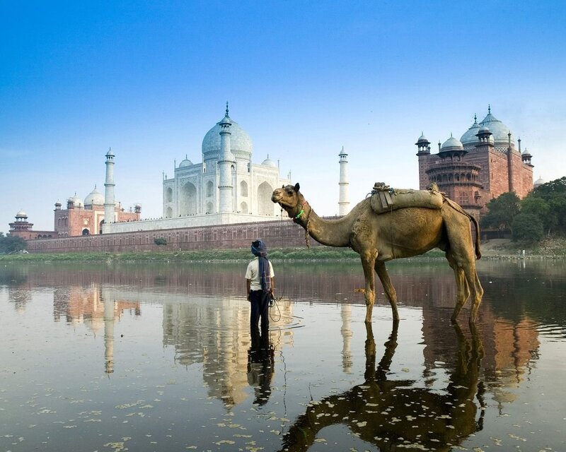 Taj Mahal with camel and guide