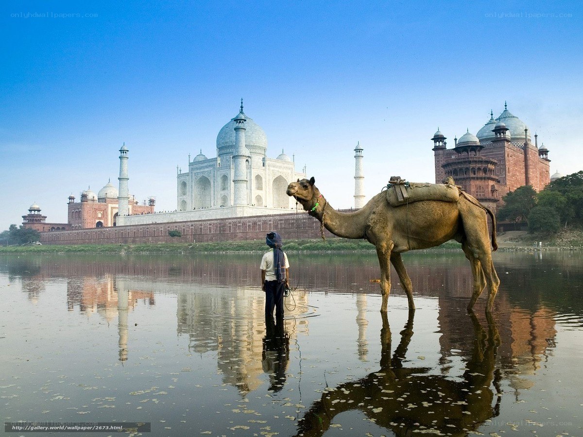Taj Mahal with camel