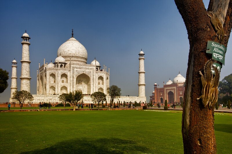 Taj Mahal with Squirrels