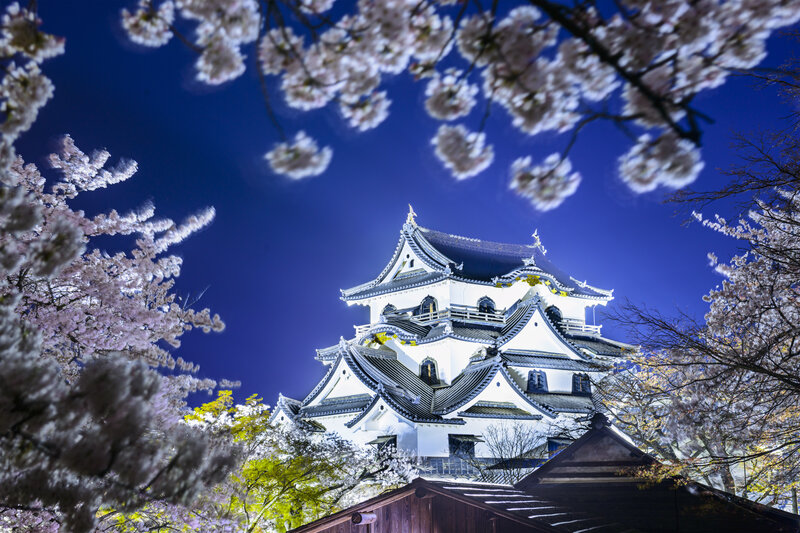 Takayama Castle at Night