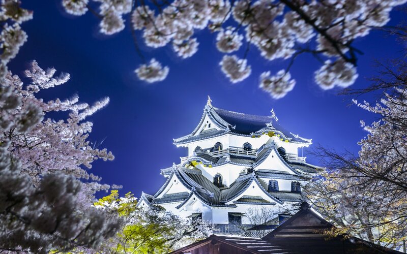 Takayama Castle