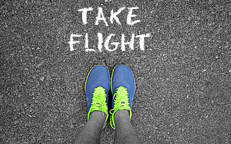 take flight running shoes