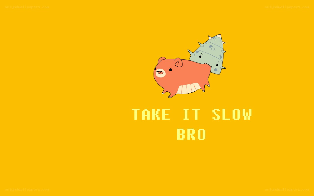 Take It Slow Bro