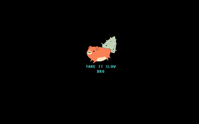 Take It Slow Bro
